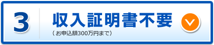 収入証明書不要